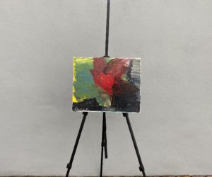 Cardinal Takes Flight