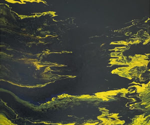 Paracanthurus hepatus